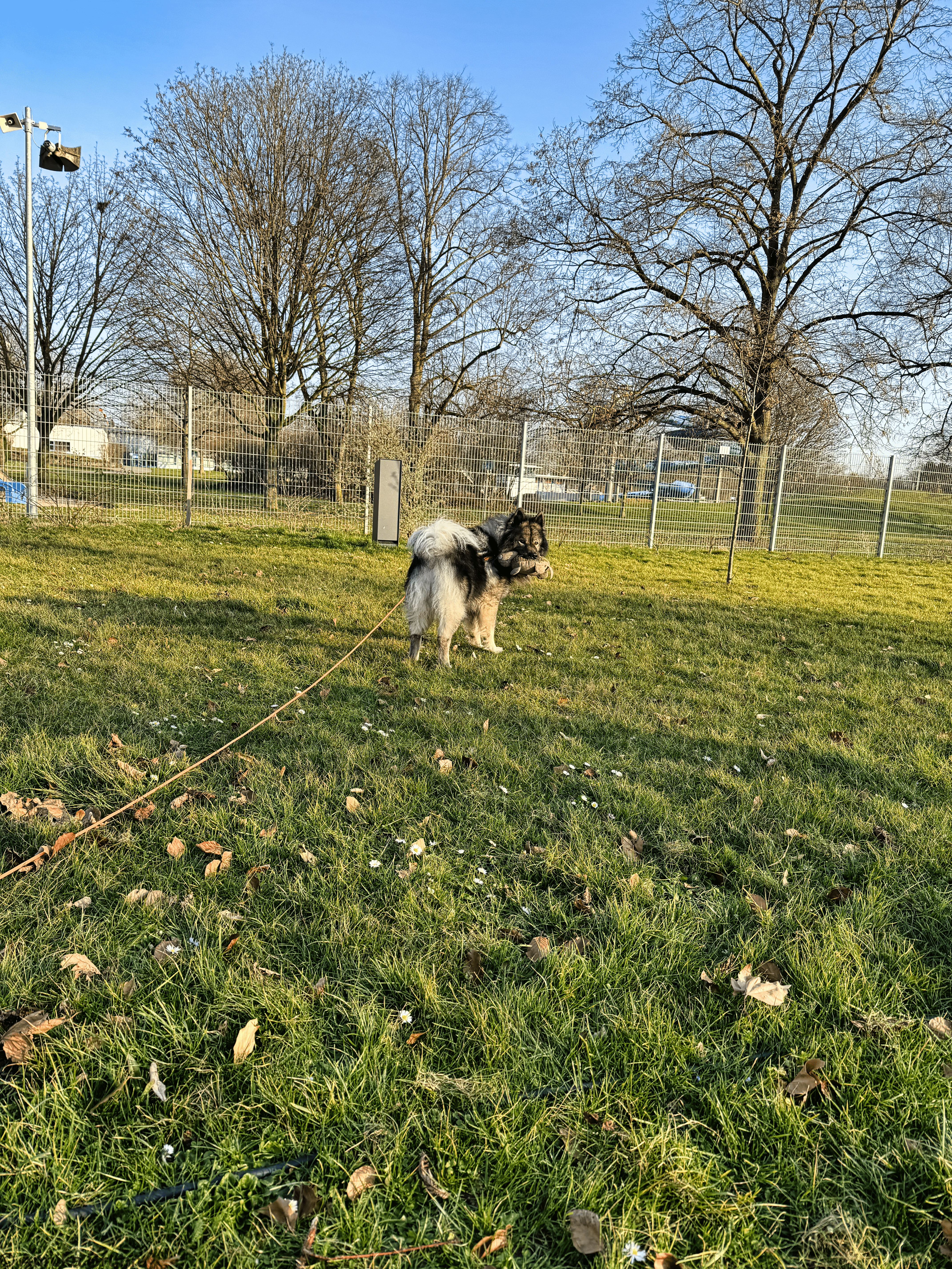 Komm spiel mit mir